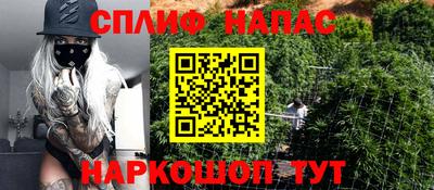 сатива Мариинск