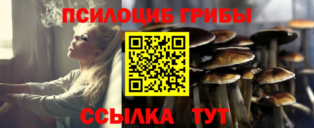 Псилоцибиновые грибы мицелий  Вход с VPN  Тавда 